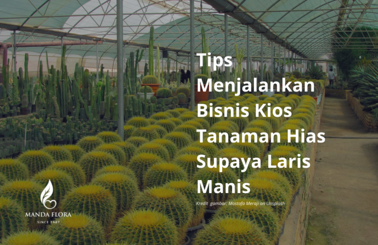 kios tanaman hias