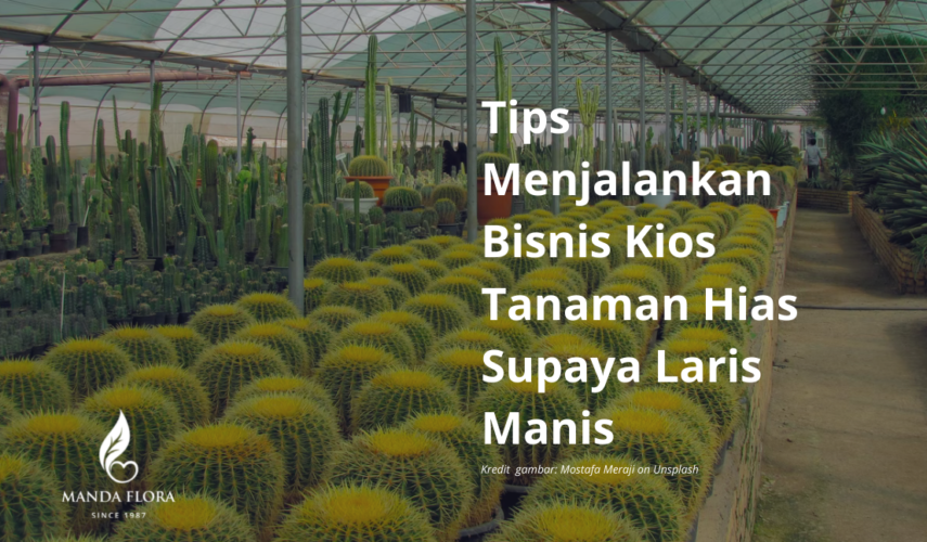 kios tanaman hias