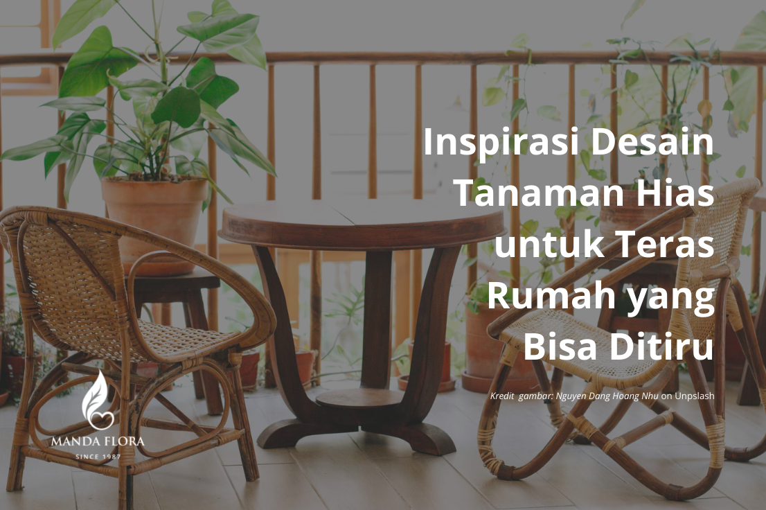 Inspirasi Desain Tanaman Hias untuk Teras Rumah yang Bisa Ditiru ...