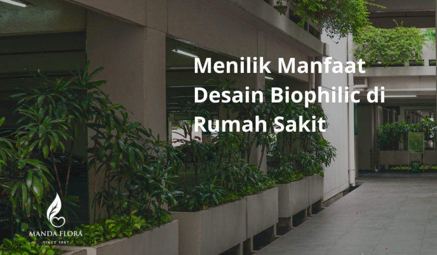manfaat desain biophilic di rumah sakit