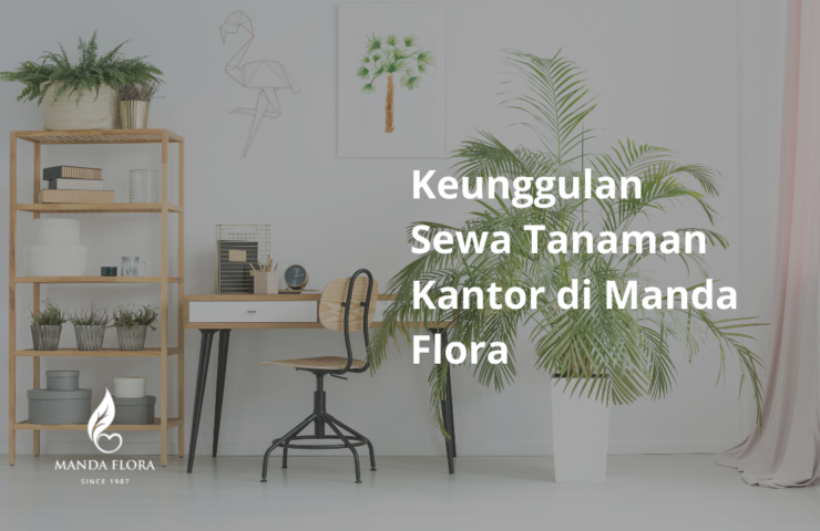 sewa tanaman kantor