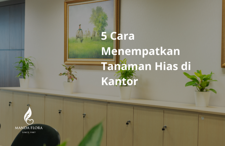 cara menempatkan tanaman hias di kantor