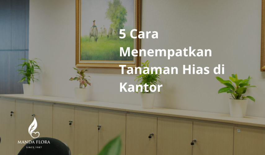 cara menempatkan tanaman hias di kantor