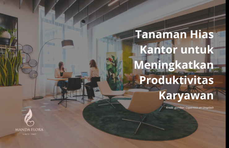 tanaman hias kantor