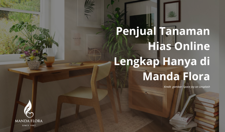 Dari Tanah ke Layar: Menjelajah Dunia Penjualan Tanaman Hias Online