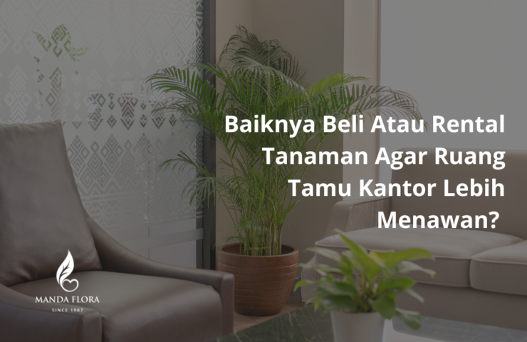 beli atau rental tanaman