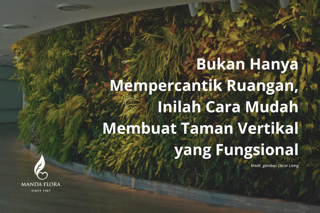 Bukan Hanya Mempercantik Ruangan, Inilah Cara Mudah Membuat Taman