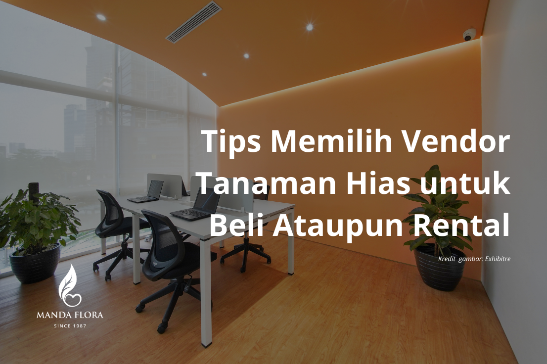 Tips Memilih Vendor Tanaman Hias Untuk Beli Ataupun Rental - Mandaflora