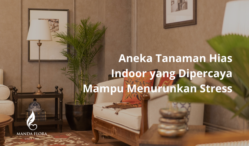 aneka tanaman hias untuk menurunkan stres