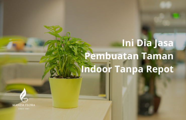 Jasa Pembuatan Taman Indoor