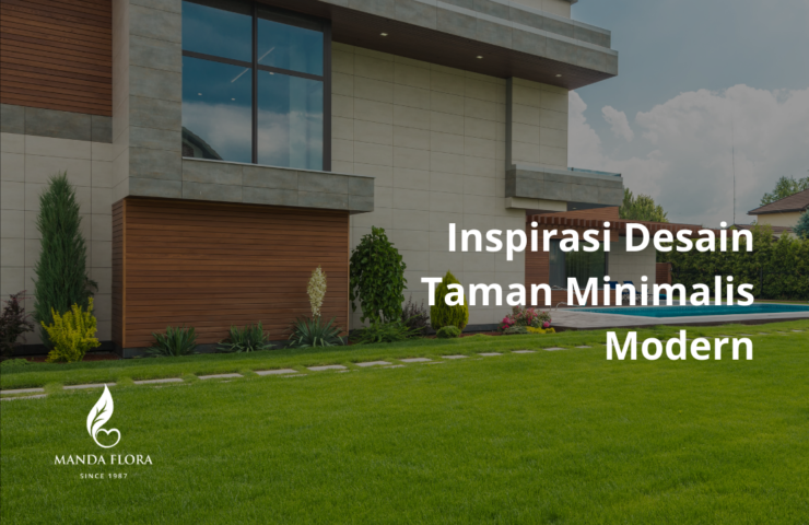 taman minimalis modern