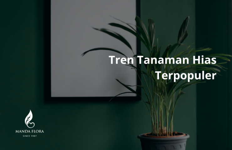 tren tanaman hias