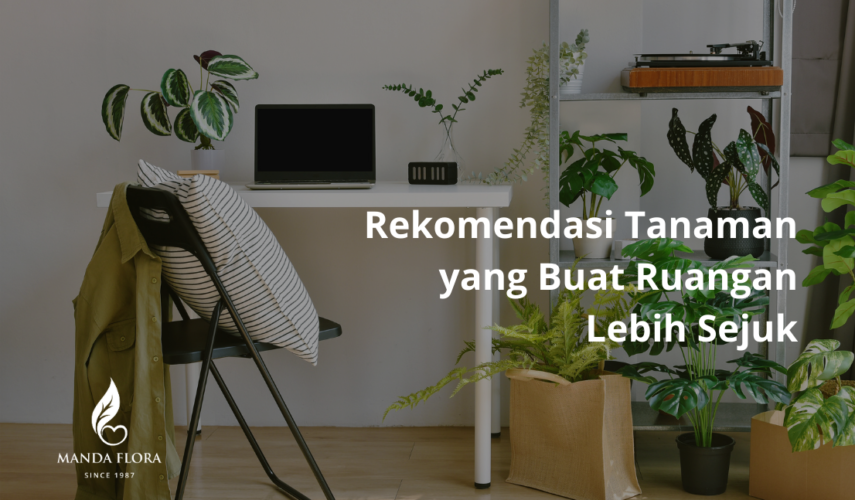 rekomendasi tanaman