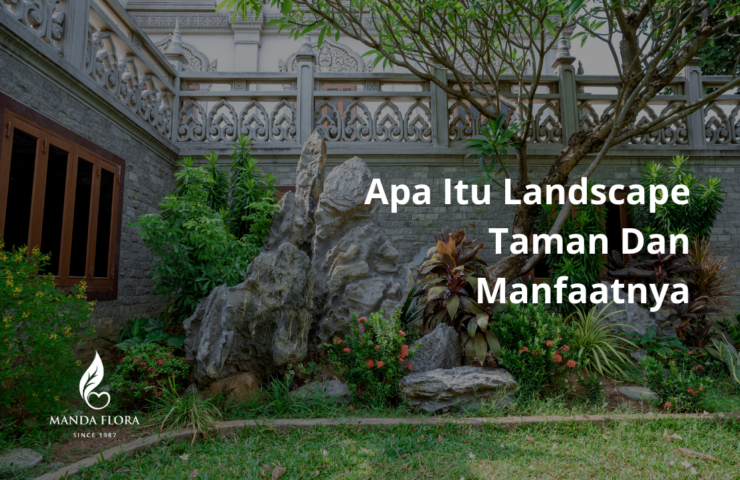 landscape taman