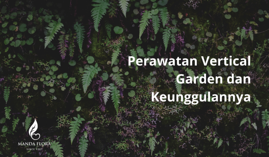 perawatan vertical garden