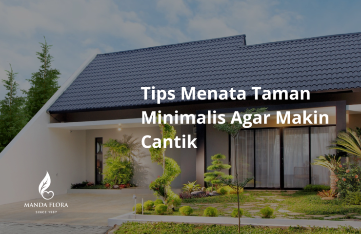 taman minimalis