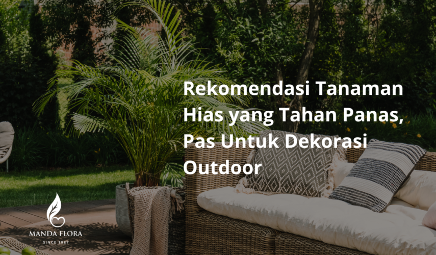 tanaman dekorasi outdoor