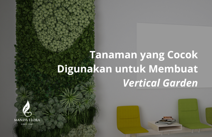jenis tanaman untuk vertical garden