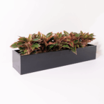 Planter Box